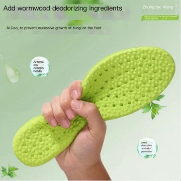 Wormwood Deodorizing Insoles – Men & Women Sports Shock Absorbing, Breathable, Sweat-Wicking, Heightening Shoe Pads